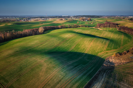 Aerial landscape of the green fields in northern Poland at spring time.の写真素材