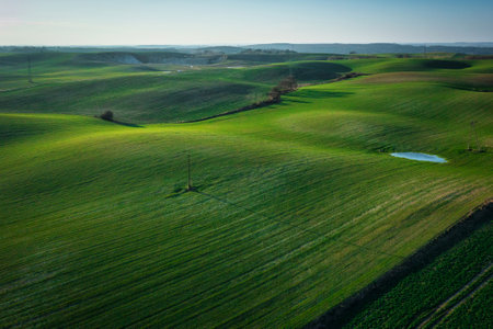 Aerial landscape of the green fields in northern Poland at spring time.の写真素材
