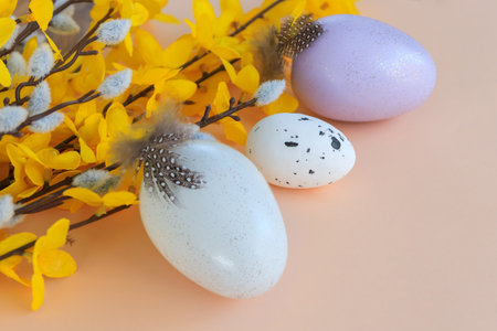 Composition of flowers and Easter eggs on a pastel backgroundの写真素材