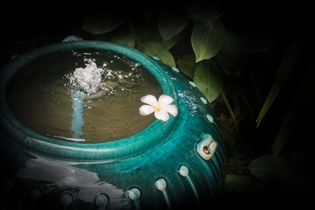 A white plumeria flower float in the green water pottery. Spa garden concept.の写真素材