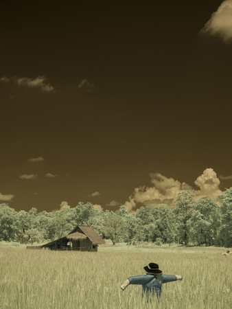 infrared fine art photography landscape : surreal infrared art photographyの写真素材