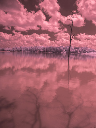 infrared fine art photography landscape : surreal infrared art photographyの写真素材