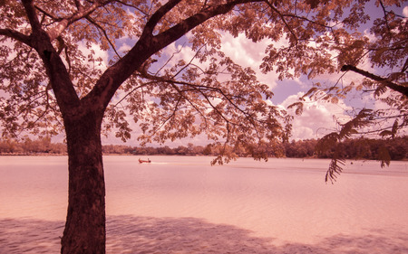infrared fine art photography landscape : surreal infrared art photographyの写真素材