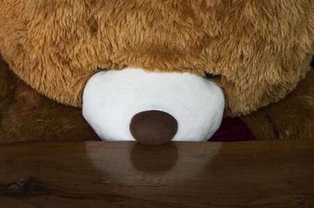Teddy Bear ; Brown Bear doll / Sad bear dollの写真素材