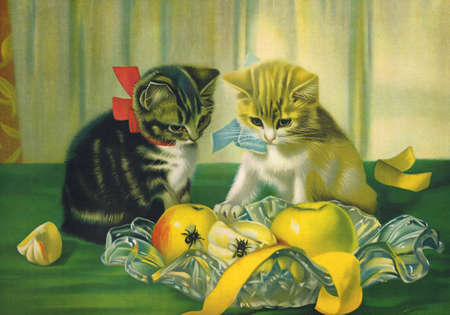 Vintage original cats print , Cute cats animal printの写真素材