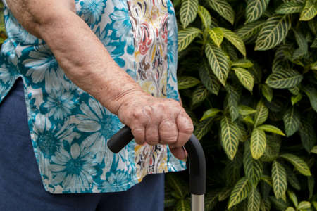 Elderly hand holding a walking cane , Asian old woman standing with  hands on a walking stickの写真素材