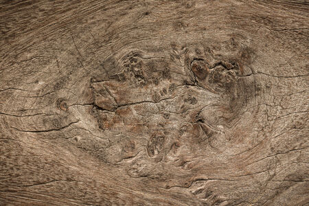 pattern woodの写真素材