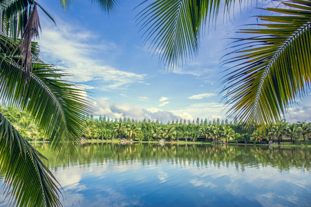 water reflection blue skyの写真素材
