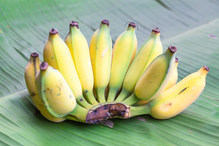 Fresh ripe bananas on banana leaf backgroundの写真素材