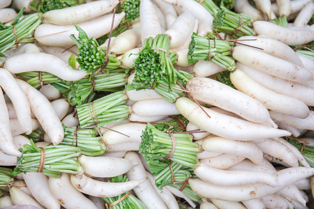 fresh white radishes in the fresh marketsの写真素材
