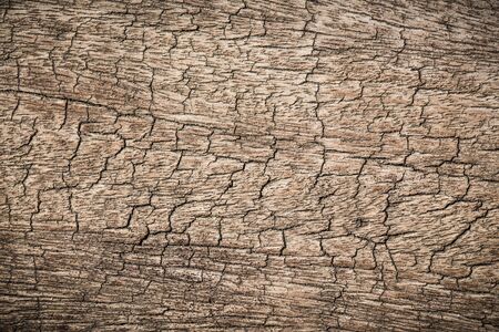 pattern wood, wood backgroundの写真素材