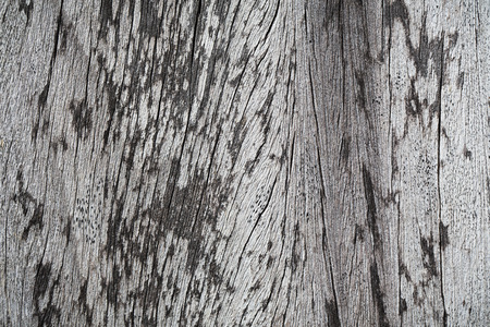 wood pattern