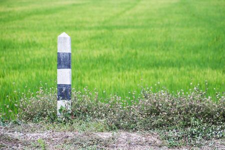 black and white signal poles stand on ground rice farmの写真素材