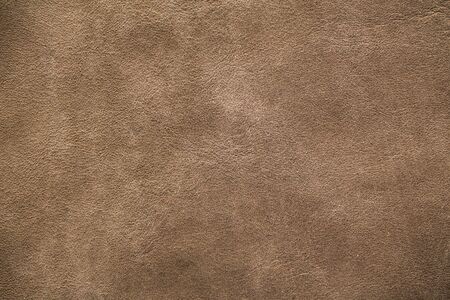 Natural qualitative green leather texture. Pattern leatherの写真素材