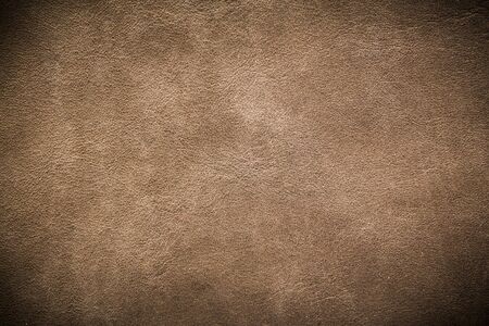 leather texture vignetted. Pattern leatherの写真素材