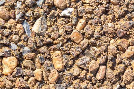 Conglomerate variety puddingstoneの写真素材