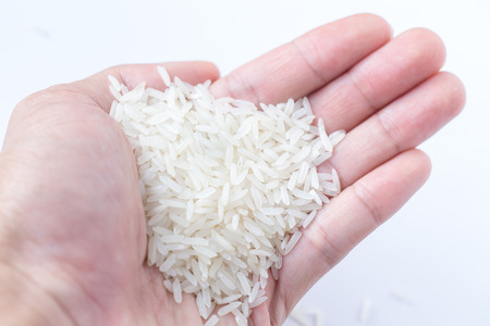 close up Thai jasmine rice on hand.の写真素材