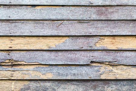 texture wall eat wooden termitesの写真素材