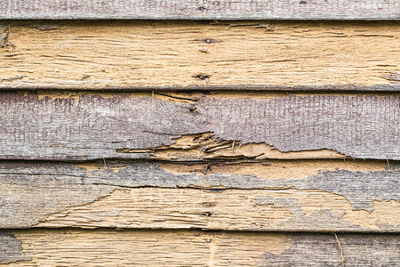 texture wall eat wooden termitesの写真素材