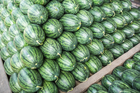 Wholesale Market Watermelon Citrullus lanatus in thailandの写真素材