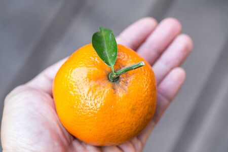 isolated man hand holding a fresh orangeの写真素材