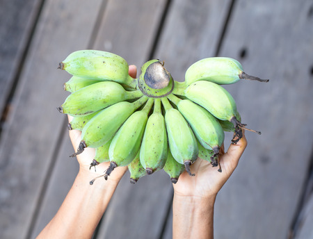 Fresh green bananas on woman handの写真素材