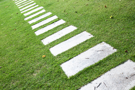 Stone path on the green grass.の写真素材