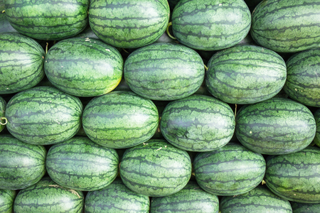Market Watermelon, Citrullus lanatus, in thailandの写真素材