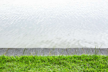 abstract water sunlight background with grass ground.の写真素材