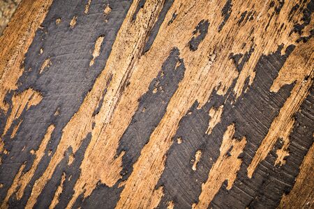 old wood colour backgroundの写真素材