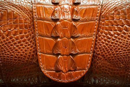 Bag brown crocodile Alligator patterned backgroundの写真素材