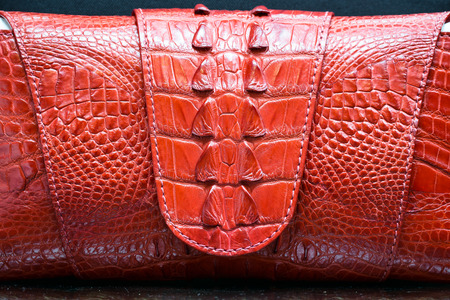 Bag brown crocodile Alligator patterned backgroundの写真素材