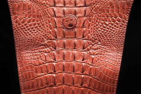 Bag brown crocodile Alligator patterned backgroundの写真素材