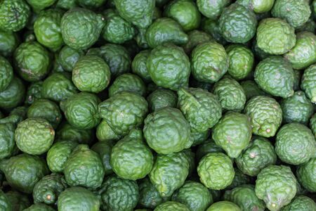 Aroma therapy Kaffir lime, fresh bergamotの写真素材