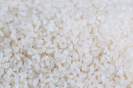 close up of japanese rice background. Image has shallow depth of field.の写真素材