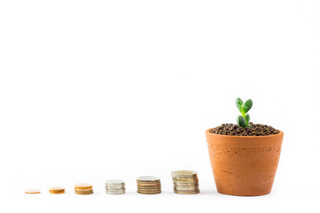 Business concept of money coins pile and young tree cactus plant with level coin money on white background.の写真素材