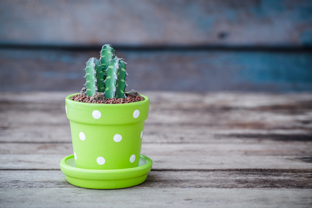 Vintage color soft light tone of cactus in Clay pots on wooden background. Image has shallow depth of field.の写真素材