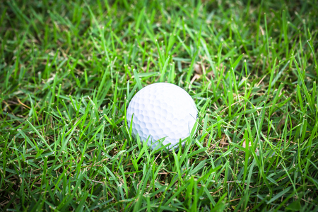 white golf ball on green grassの写真素材