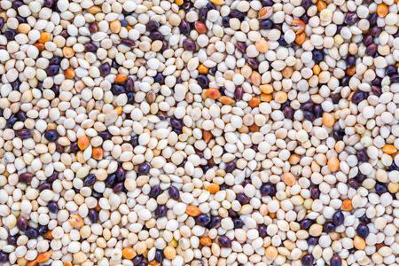 the texture of whole grainの写真素材