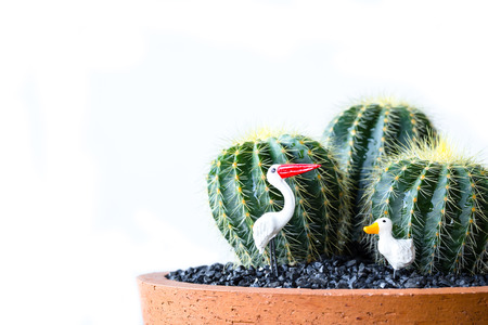 Vintage color soft light tone of cactus in Clay pots on wooden background. Image has shallow depth of field.の写真素材