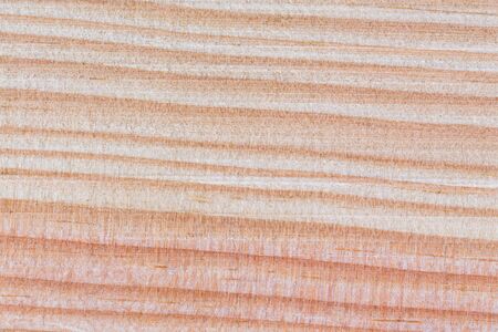texture of pine wood planks closeupの写真素材