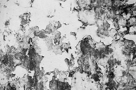 Abstract gray template background. Picture can used web ad design. blank space dark gradient wall.の写真素材