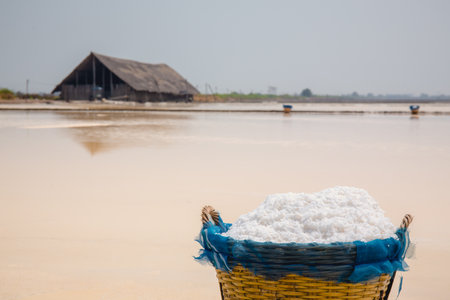 salt piles in the Saline from Samutsakorn, Thailand. Salt Culture of Thailand It is made in the summer of every year.の写真素材