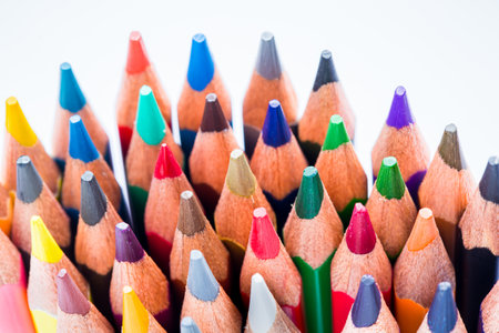Education concept backdrop. crayon or pastel on the white paper book. picture used for add text or education design back to school.の写真素材