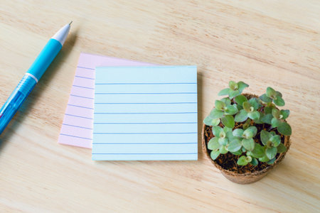 Blank notebook paper with little plants in eco pot on a wooden table. picture used for add text or education message. green fresh. white note with pencil.の写真素材