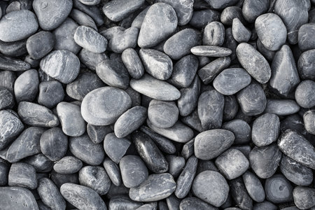 small smooth waterworn black pebbles or stones for use decor and garden landscaping. tone garden interiors. stone spaの写真素材