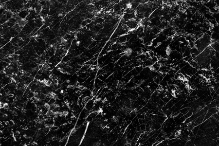 abstract natural marble black and white, pattern can used for wallpaper or skin wall tile luxurious.の写真素材