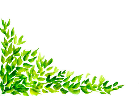 leaves in a watercolor style on white background. leaf for background pattern, frame.の写真素材