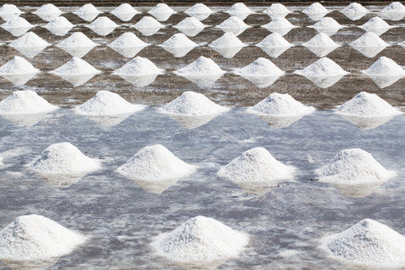 salt piles in the Saline from Samutsakorn, Thailandの写真素材