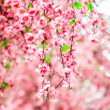Artificial Sakura flowers for decorating. Spring blossom. Image has shallow depth of field.の写真素材